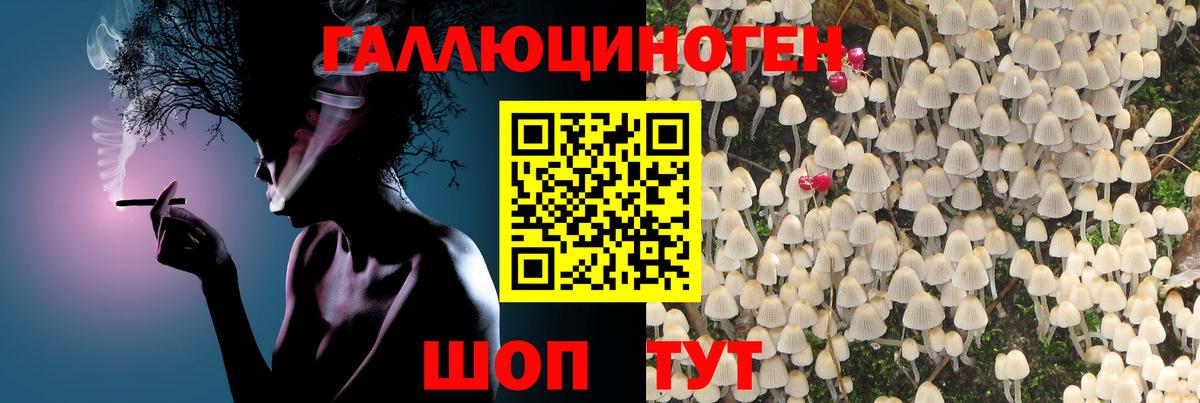 Серпухов  Псилоцибиновые грибы мицелий  Вход с VPN 